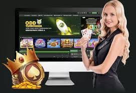 cv666 casino